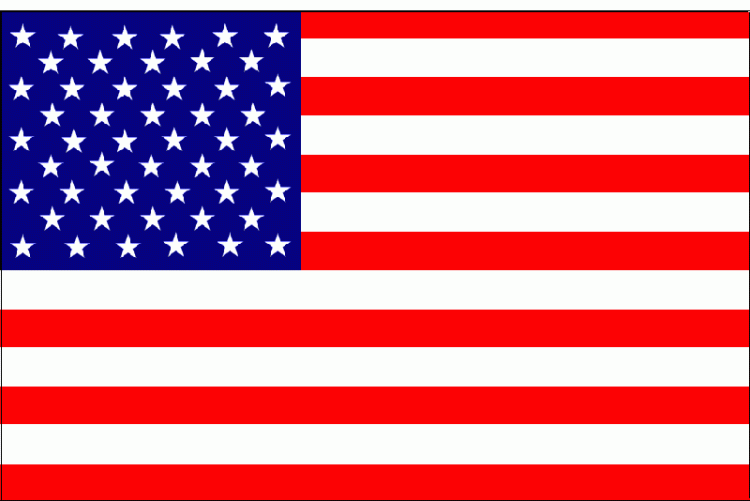 amerikan bayrağı görmek