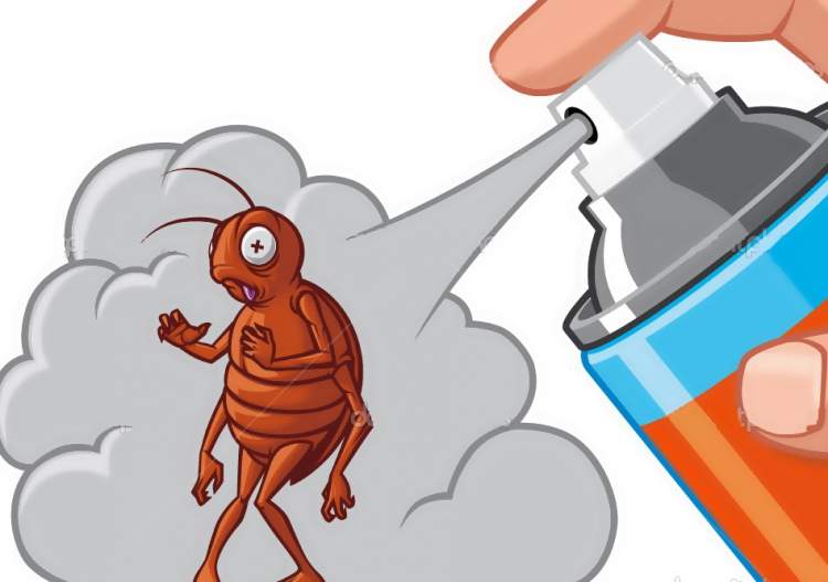 Rüyada Böcek İlacı Sıkmak - ruyandagor.com