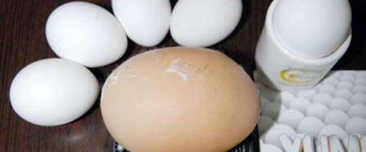 Rüyada Büyük Yumurtalar Görmek - ruyandagor.com
