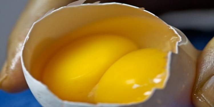 çift sarılı yumurta kırmak