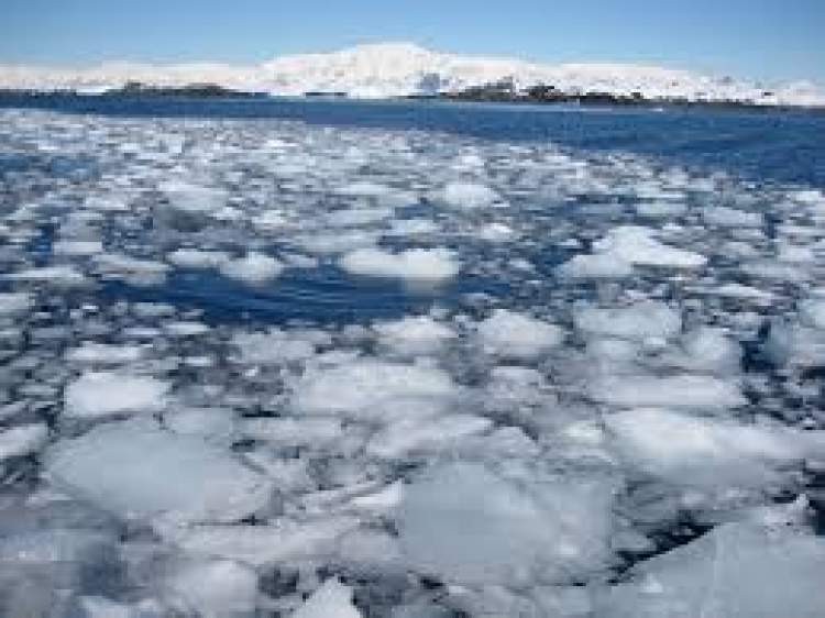 denizin buz tuttuğunu görmek