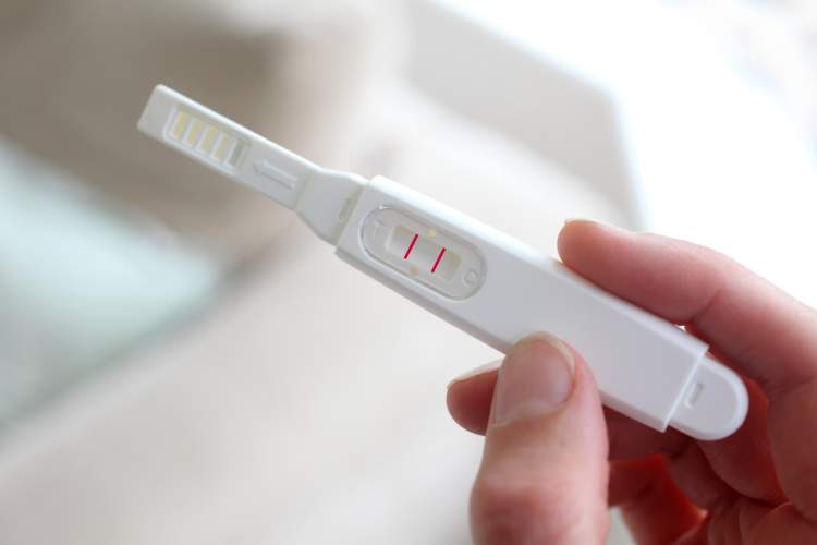 hamile testi görmek
