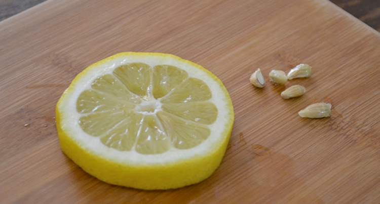 limon çekirdeği görmek