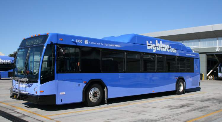 mavi otobüs görmek