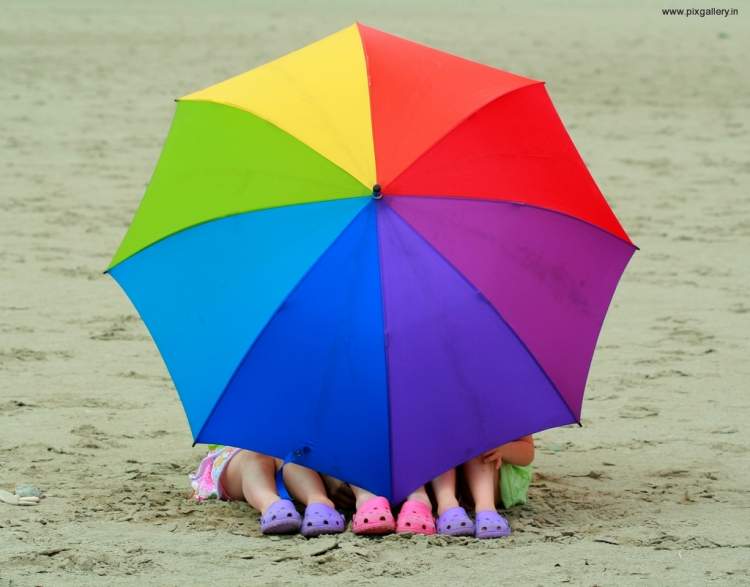 Renkli şemsiye