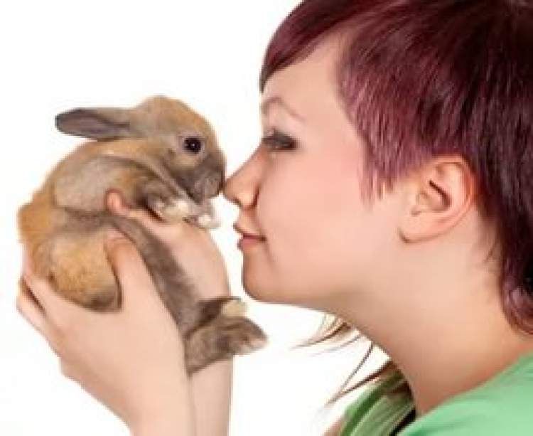 tavşan sevmek