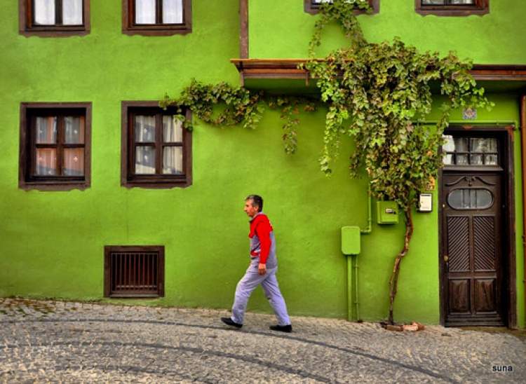 yeşil boyalı bina görmek