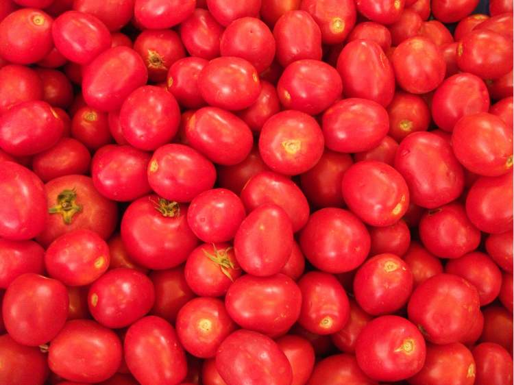 ağaçta kırmızı domates görmek