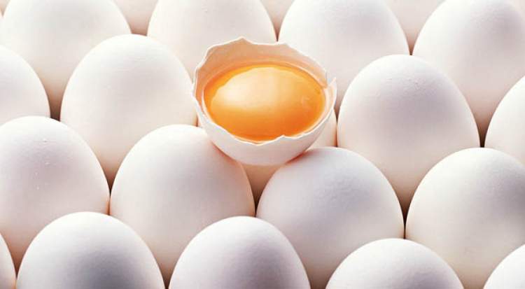 Rüyada Beyaz Kırık Yumurta Görmek - ruyandagor.com