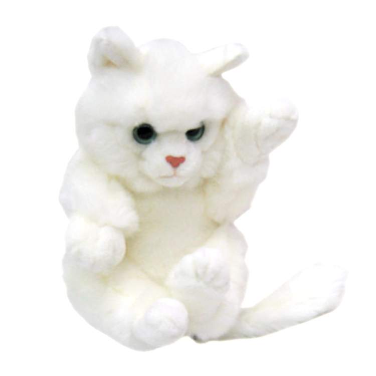 beyaz oyuncak kedi görmek