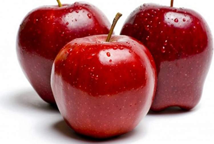 elma görmek elma yemek
