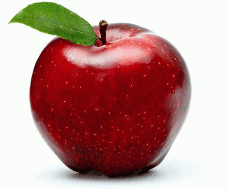 elma yerken içinden kurt çıkması