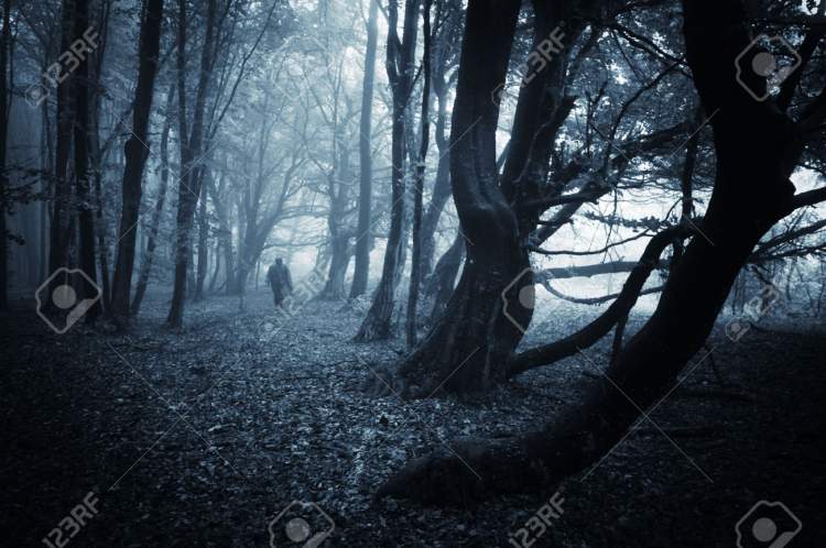 karanlık ormanda yürümek