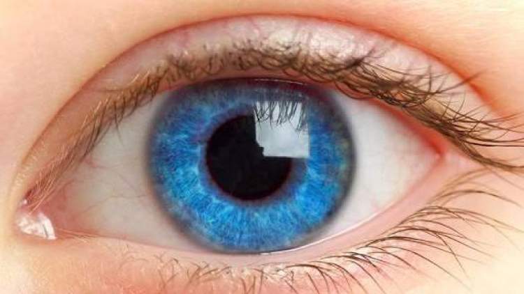 mavi göz rengi görmek