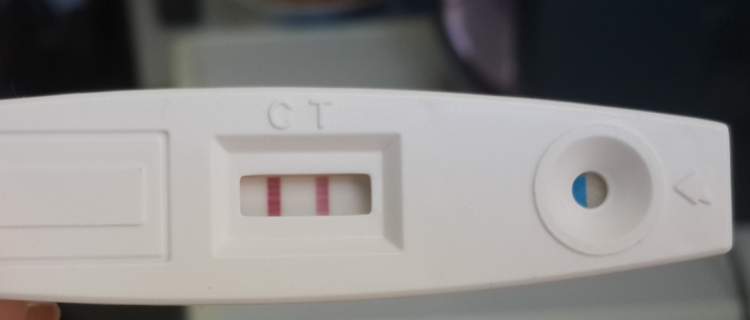 pozitif hamilelik testi görmek