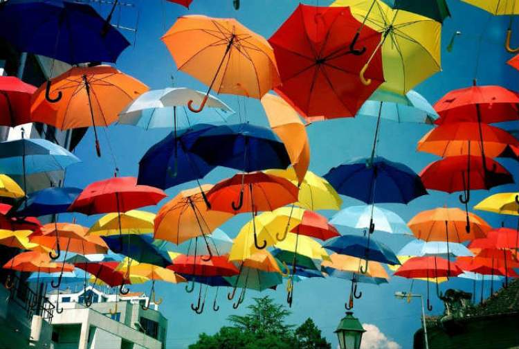 renk renk şemsiye görmek