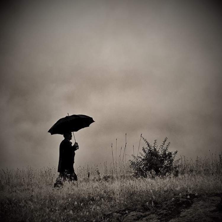 Rüyada Şemsiye İle Yağmurda Yürümek - ruyandagor.com