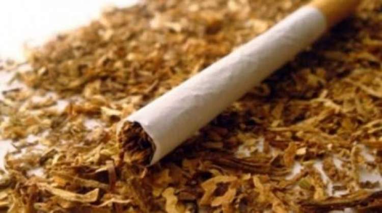 Rüyada Sigara Tütün Görmek - ruyandagor.com