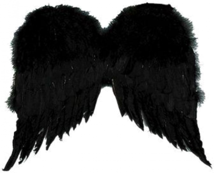 siyah kanatlı melek görmek