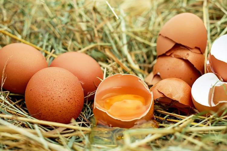 Rüyada Tavuk Yumurtası Satın Almak - ruyandagor.com
