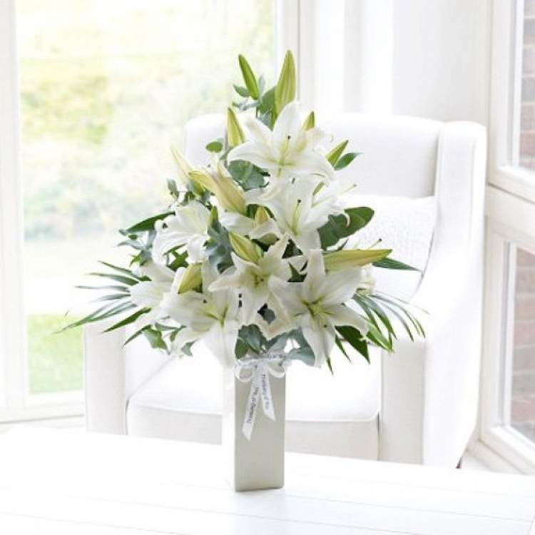 vazoda beyaz çiçek görmek