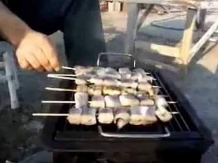 yılan eti pişirmek