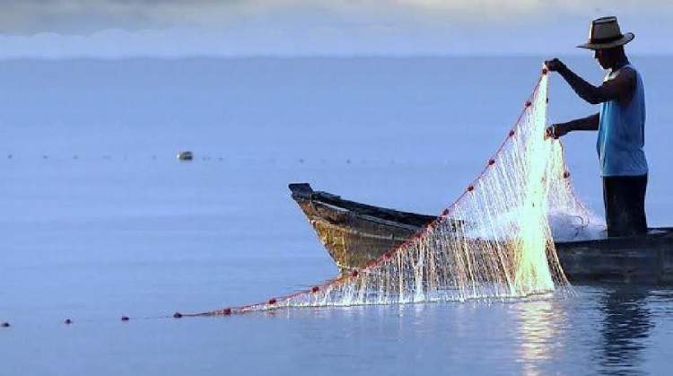 balık ağı atmak