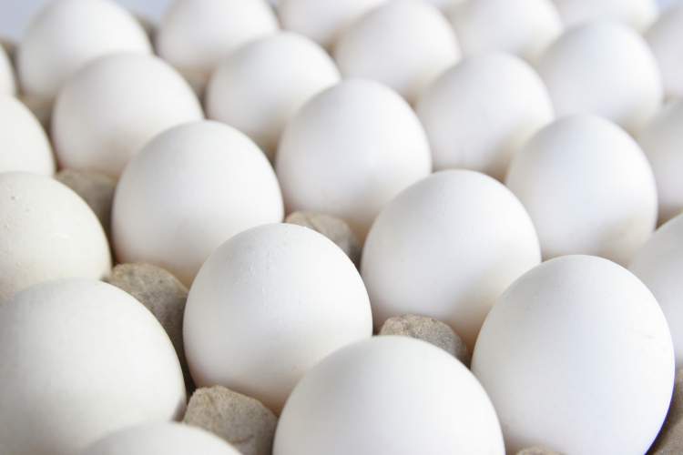 beyaz yumurta vermek
