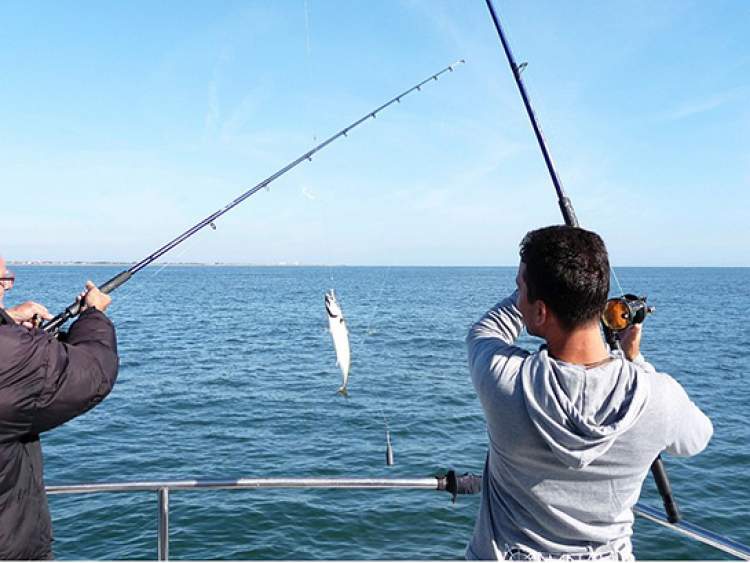 deniz görmek balık yakalamak