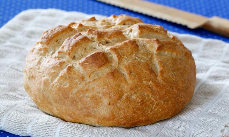 ekmek mayalamak