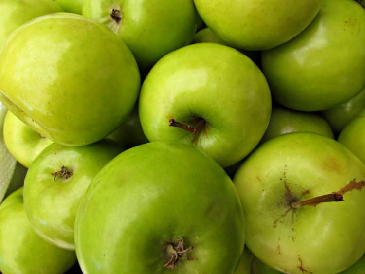 ekşi elma toplamak