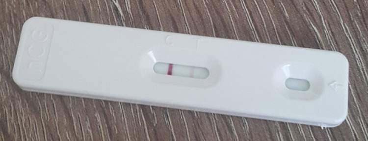 eşinin hamilelik testi yaptığını görmek