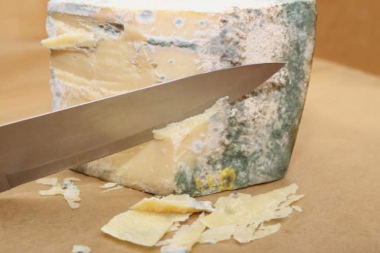 Rüyada Küflenmiş Peynir Görmek - ruyandagor.com
