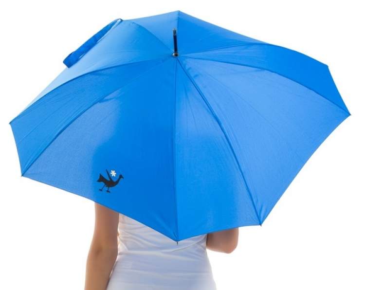 mavi şemsiye almak