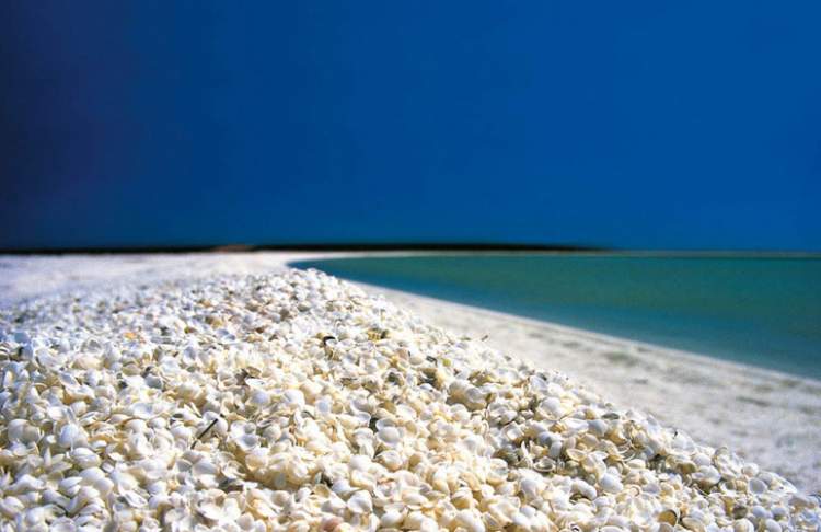 sahilde taş toplamak
