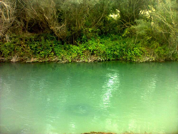 yeşil akan nehir görmek
