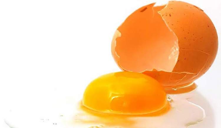 çiğ yumurta sarısı yemek